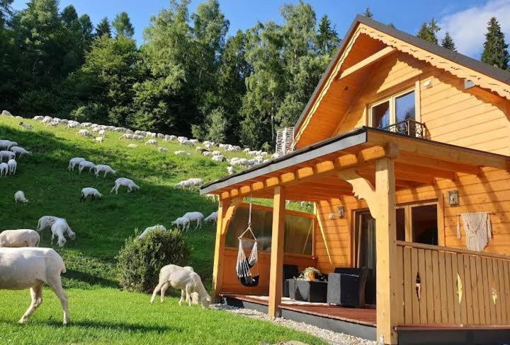 Domek Pod Groniem Mizerna Ngoại thất bức ảnh
